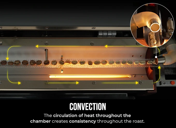 Convection circulates heat throughout the chamber for consistency across the roast